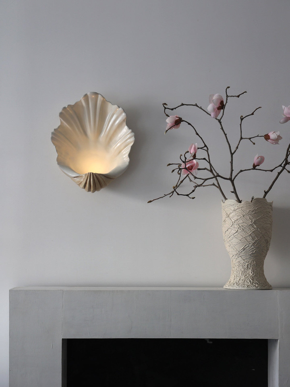 Shell Wall Sconce