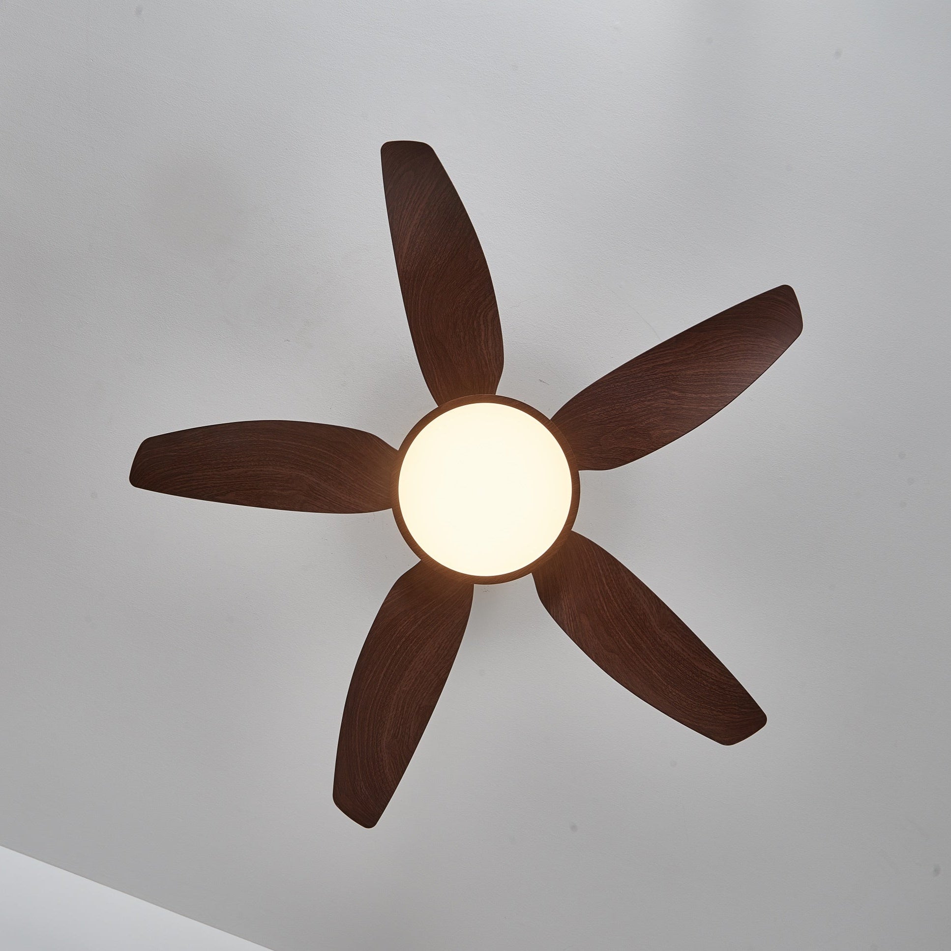 Aurelia Modern Wood Brass Ceiling Fan Light - Neutral Decor