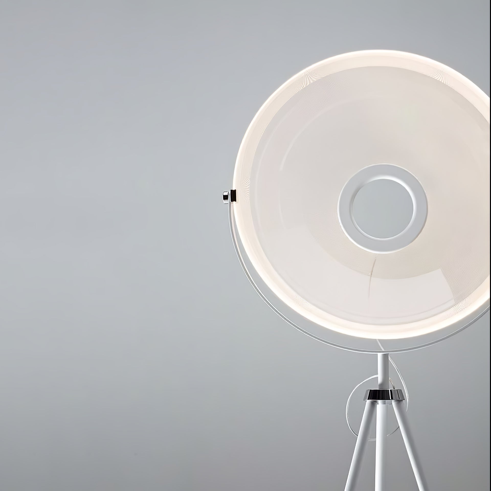 Zasolyra Tripod Floor Lamp
