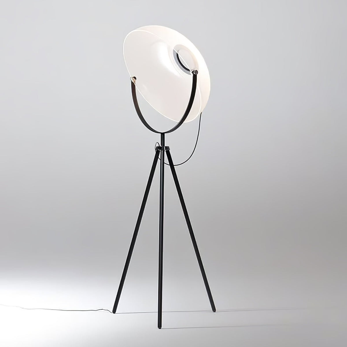 Zasolyra Tripod Floor Lamp