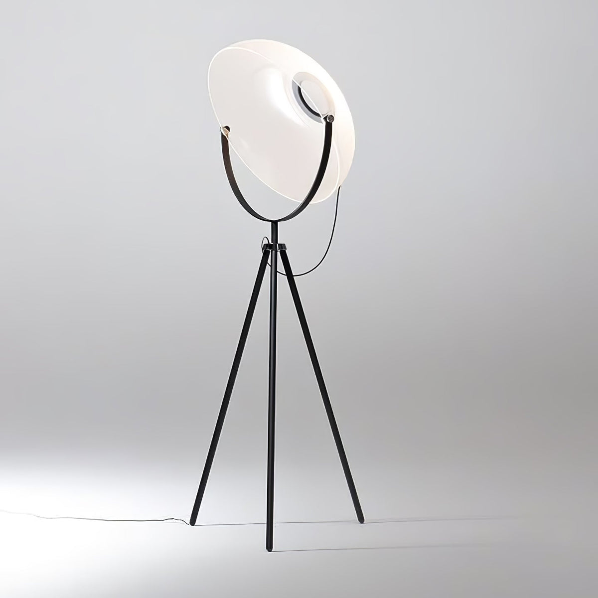 Zasolyra Tripod Floor Lamp