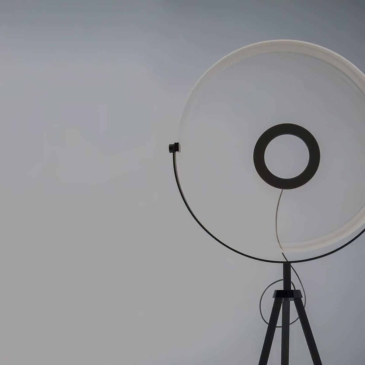 Zasolyra Tripod Floor Lamp