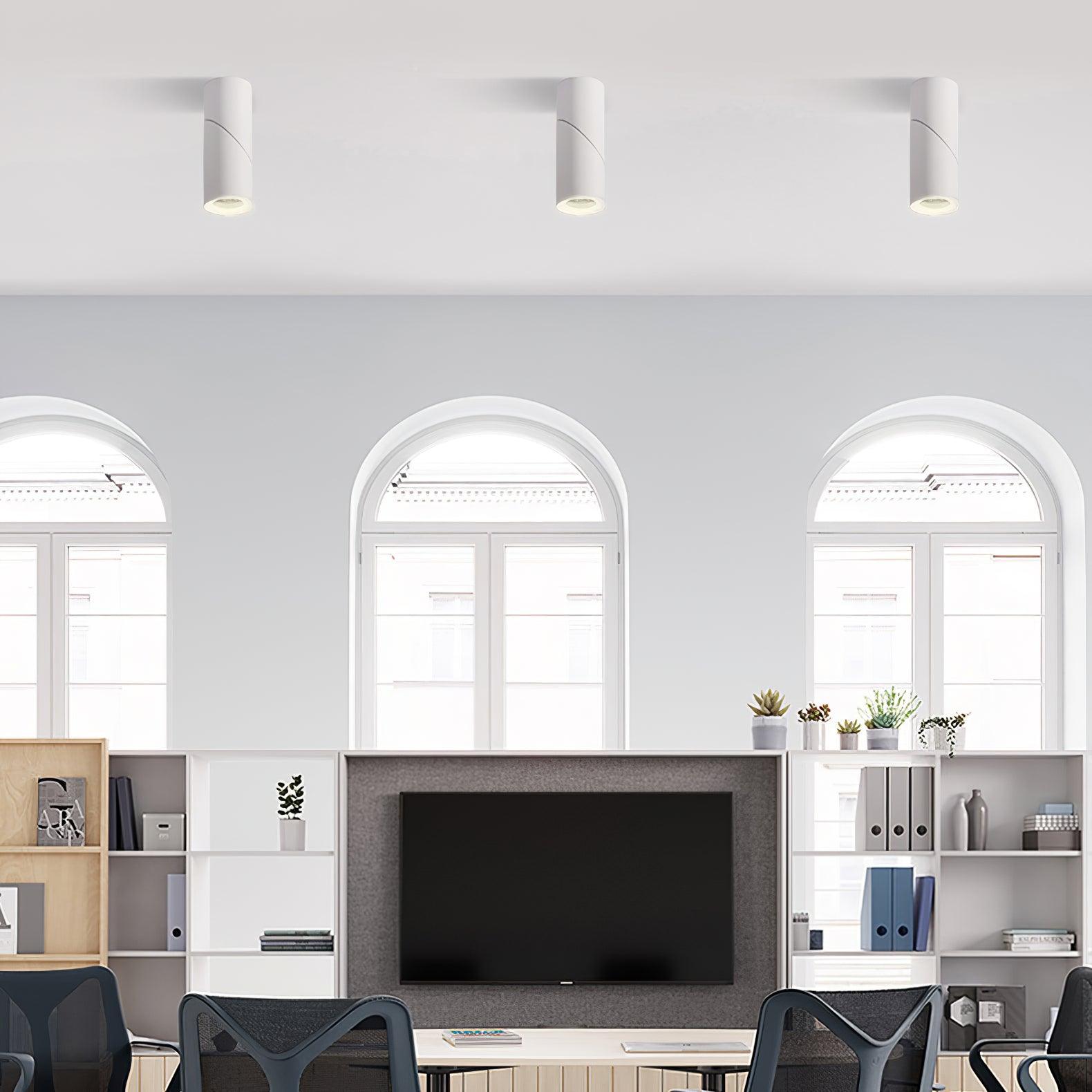 Avenaora Ceiling lamp LED Spotlights Sunny Adjustable