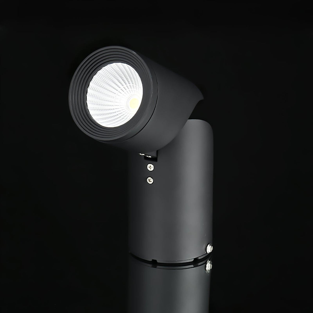 Avenaora Ceiling lamp LED Spotlights Sunny Adjustable