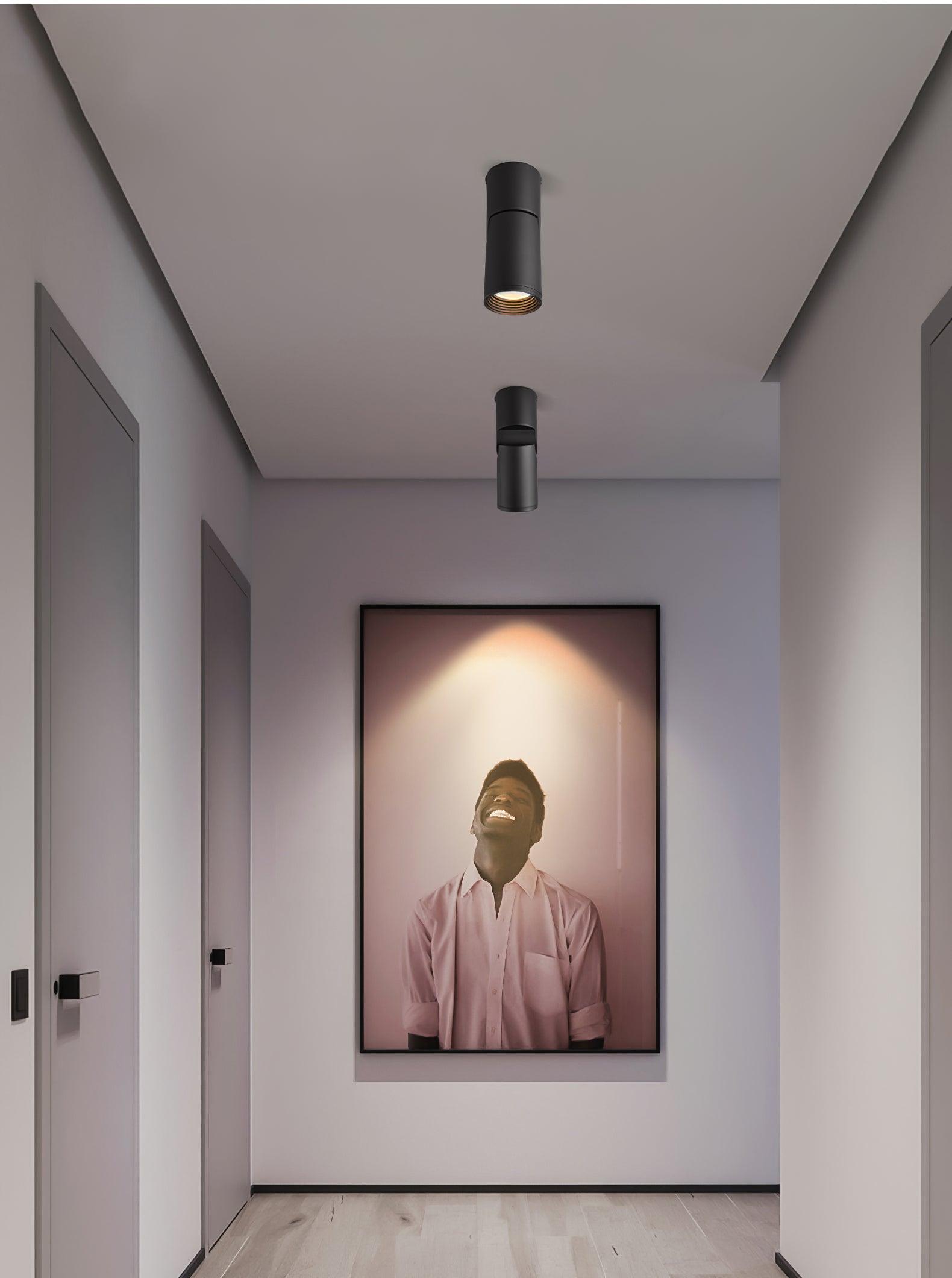 Avenaora Ceiling lamp LED Spotlights Sunny Adjustable