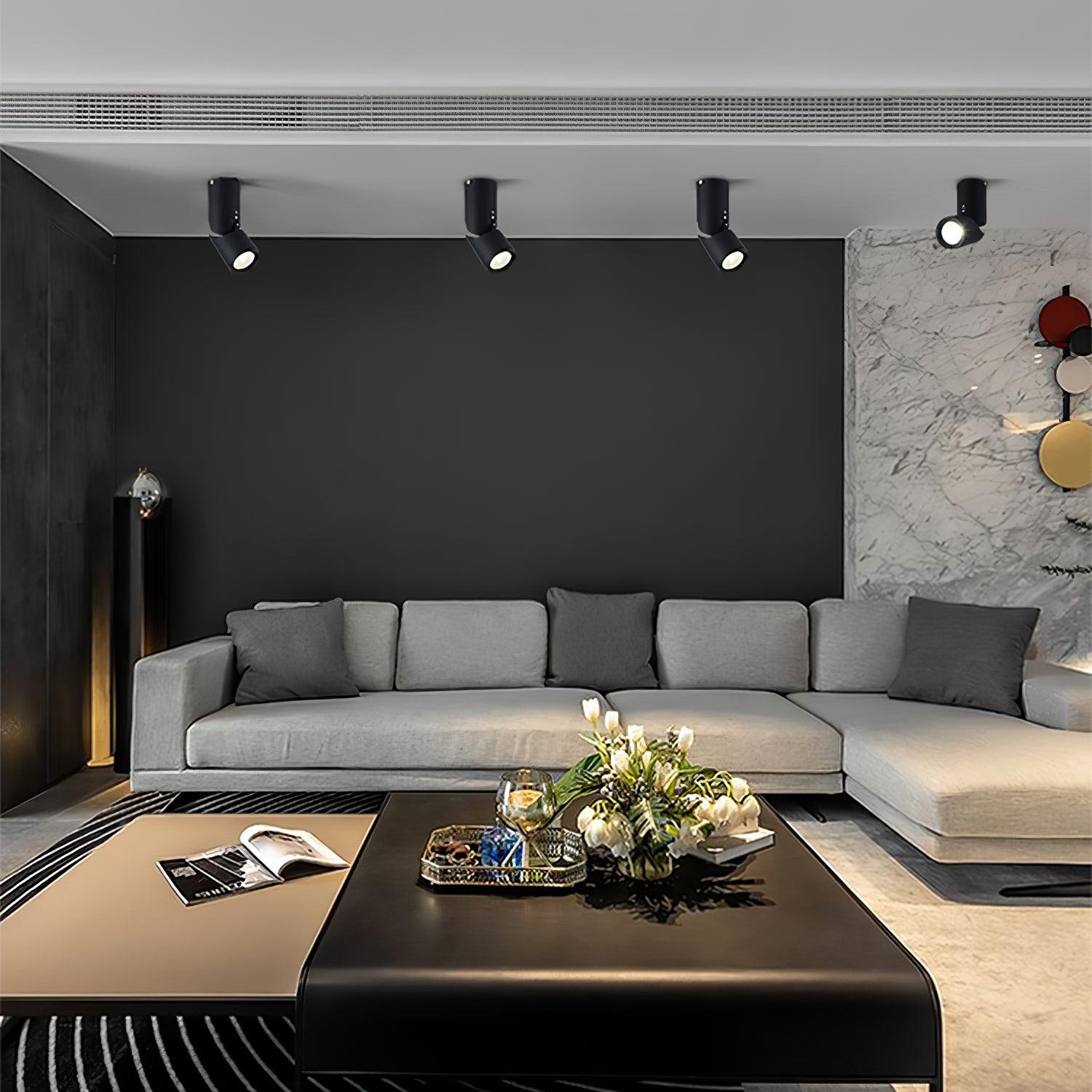 Avenaora Ceiling lamp LED Spotlights Sunny Adjustable