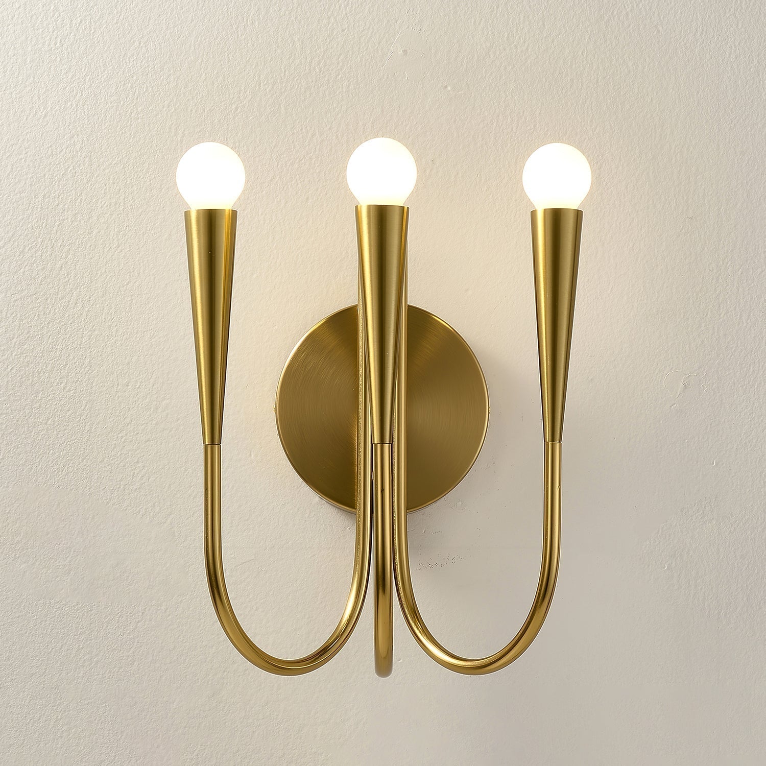 Eoveth Premium Elegance Arm Glass Wall Lamp