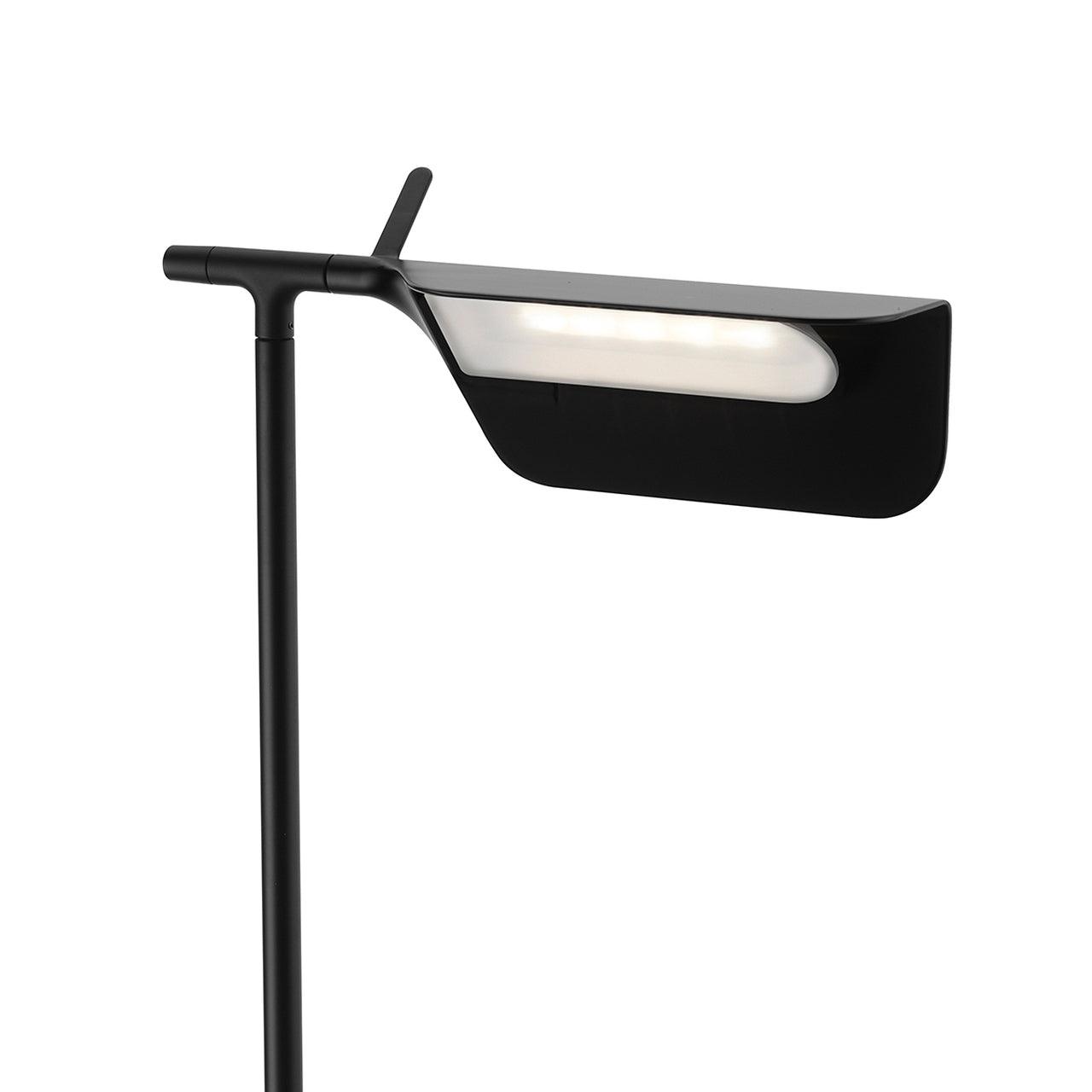 Ebonis Acrylic Minimalist Floor Lamp