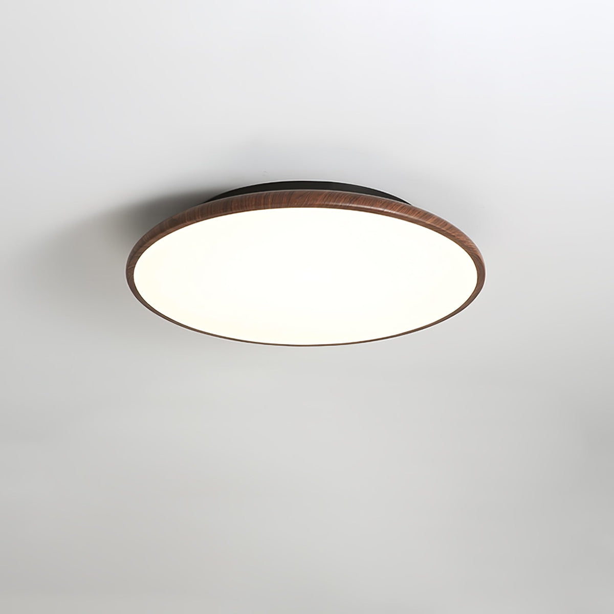 Bluxen Thin Geometry Shape Ceiling Lamp