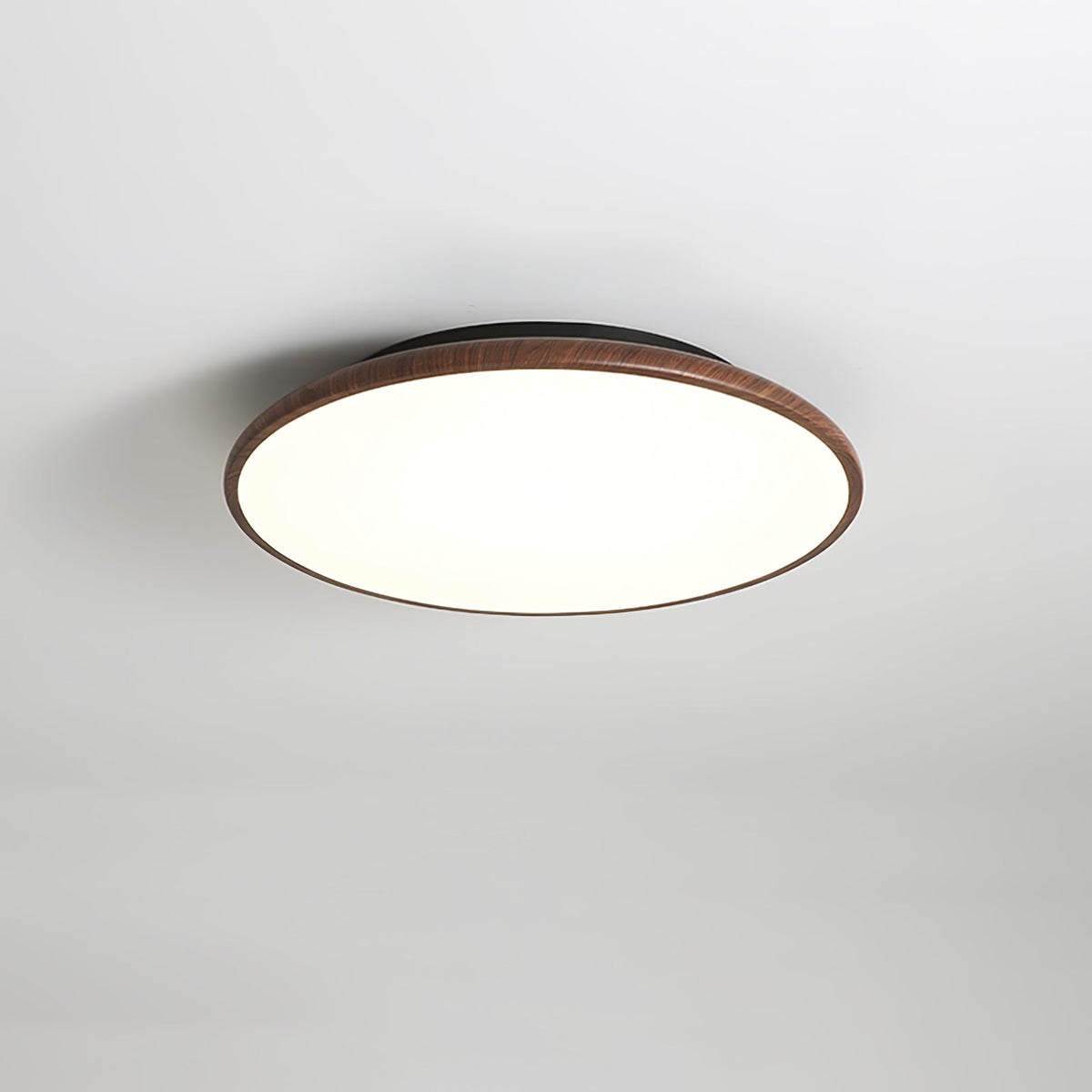 Bluxen Thin Geometry Shape Ceiling Lamp