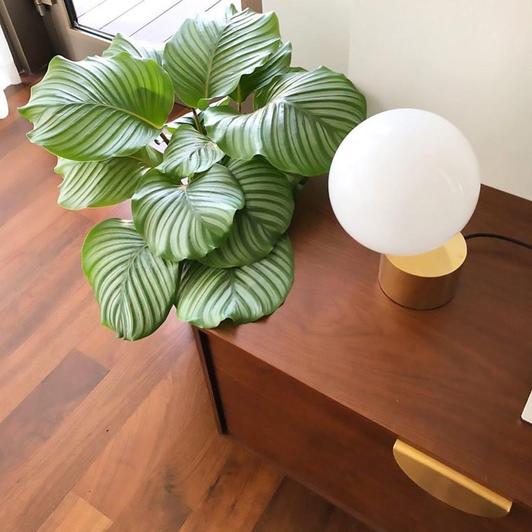 Eiraella Glass Industrial Table Lamp