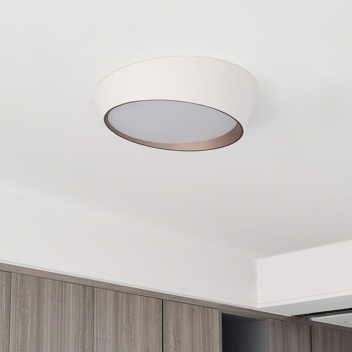 Arixa Modern Minimalist Ceiling Lamp