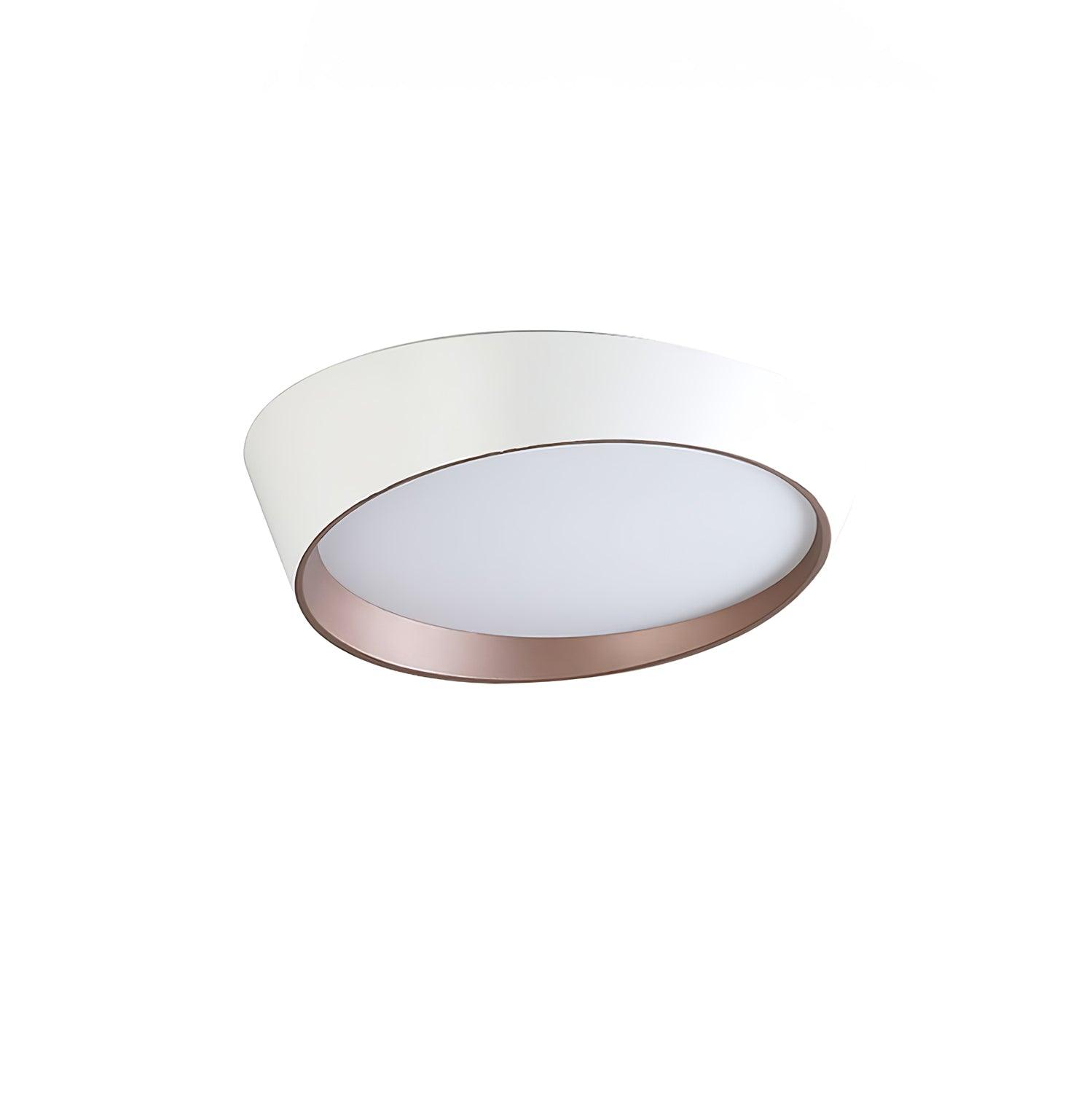 Arixa Modern Minimalist Ceiling Lamp