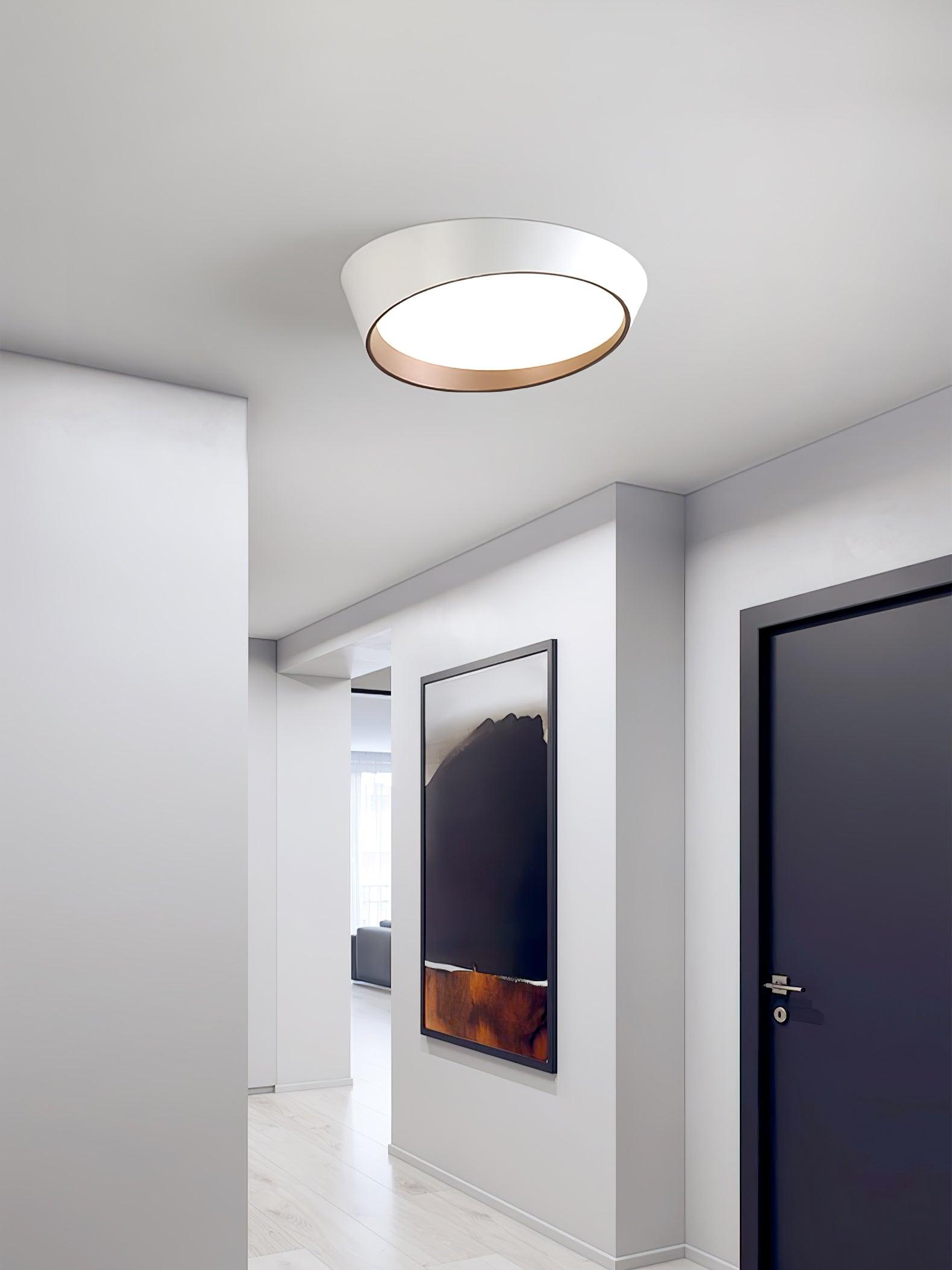 Arixa Modern Minimalist Ceiling Lamp