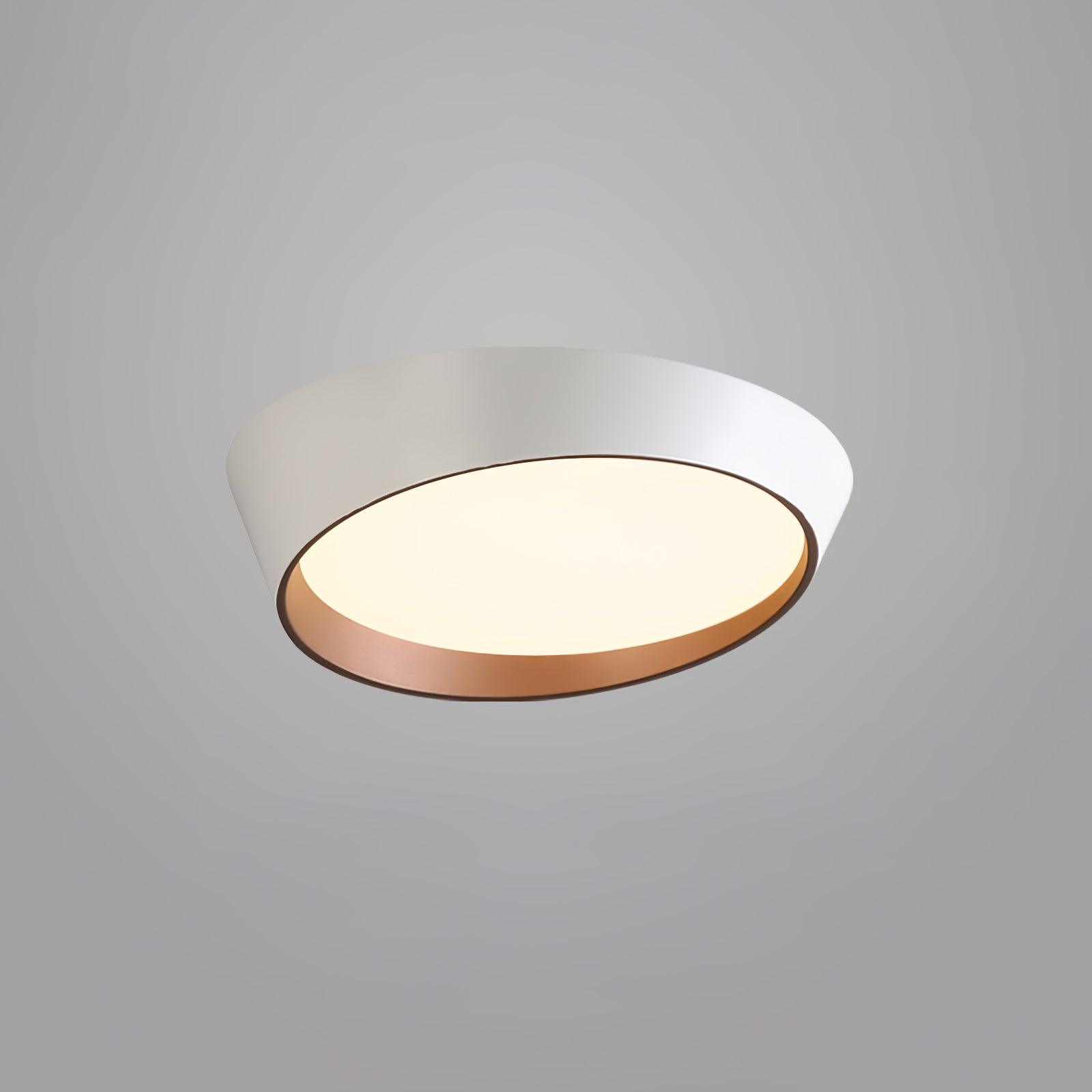 Arixa Modern Minimalist Ceiling Lamp