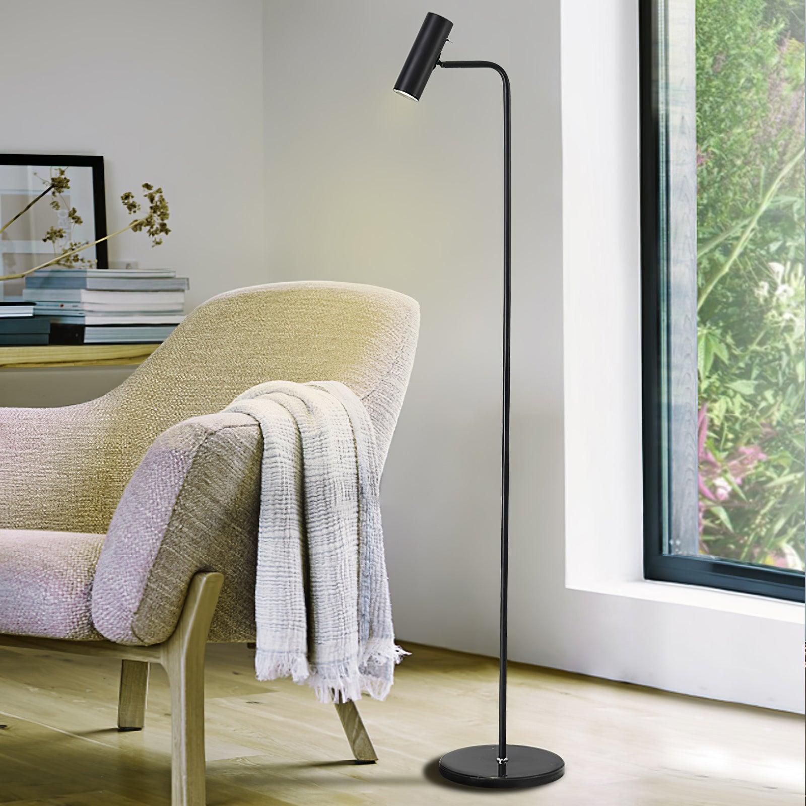 Nirixa Brass Industrial Floor Lamp