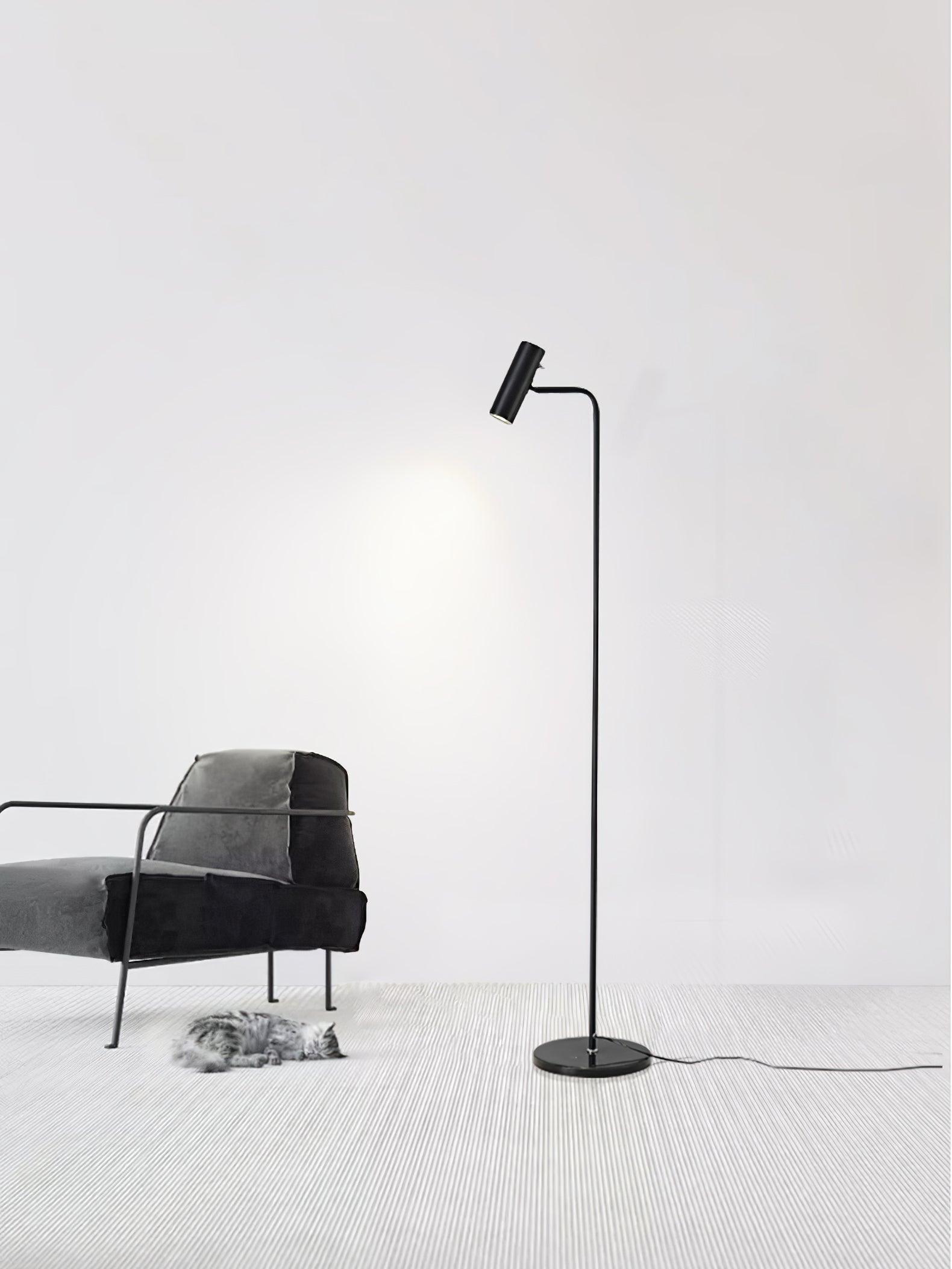 Nirixa Brass Industrial Floor Lamp