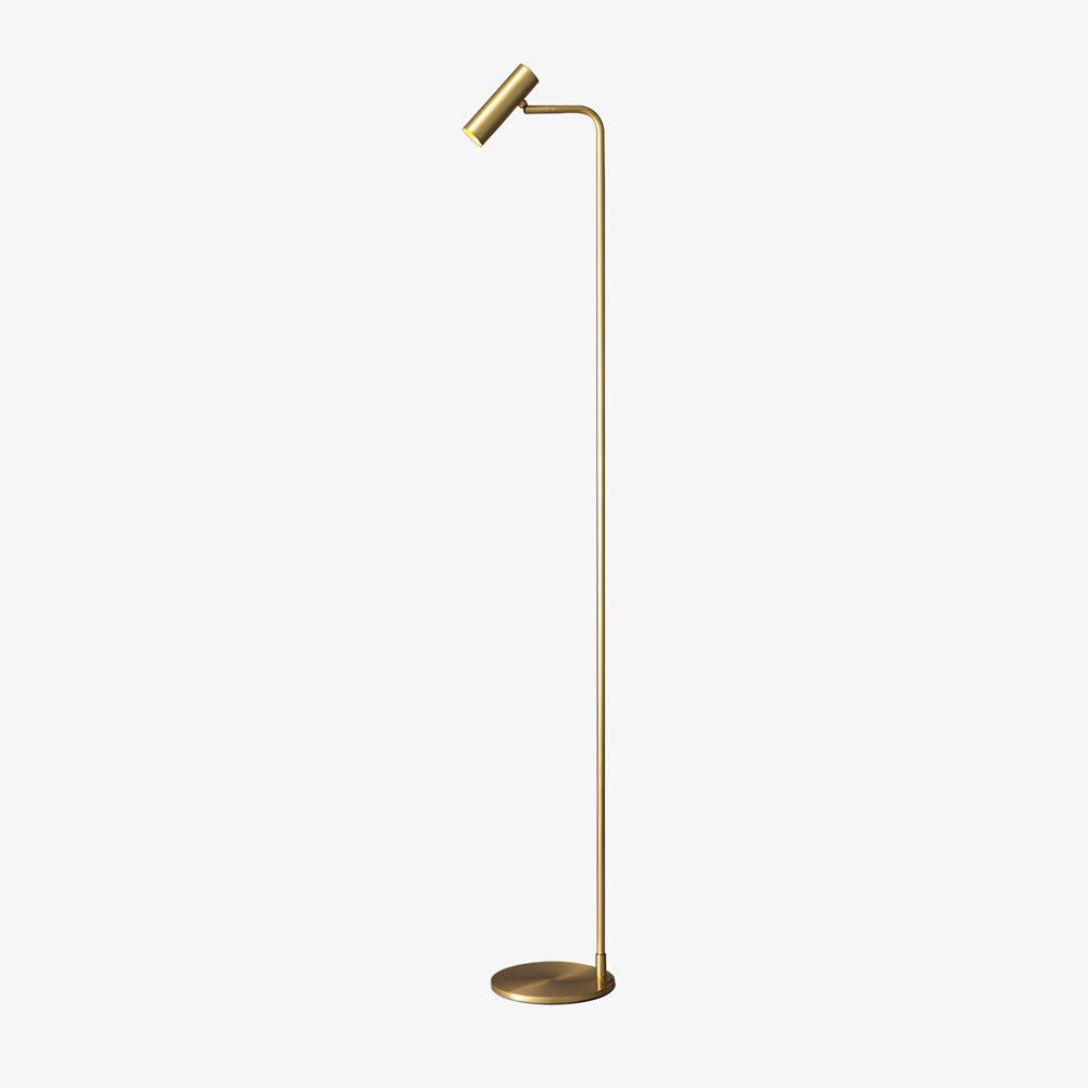 Nirixa Brass Industrial Floor Lamp