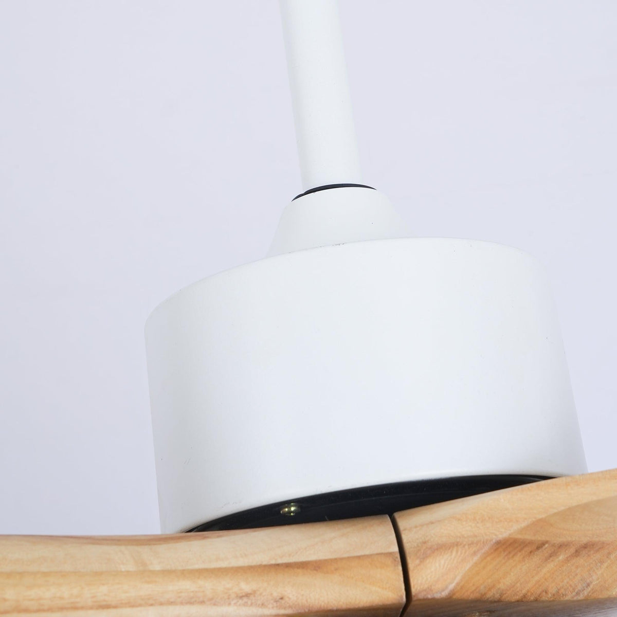 Norirora Elegance Natural Ceiling Fan Light
