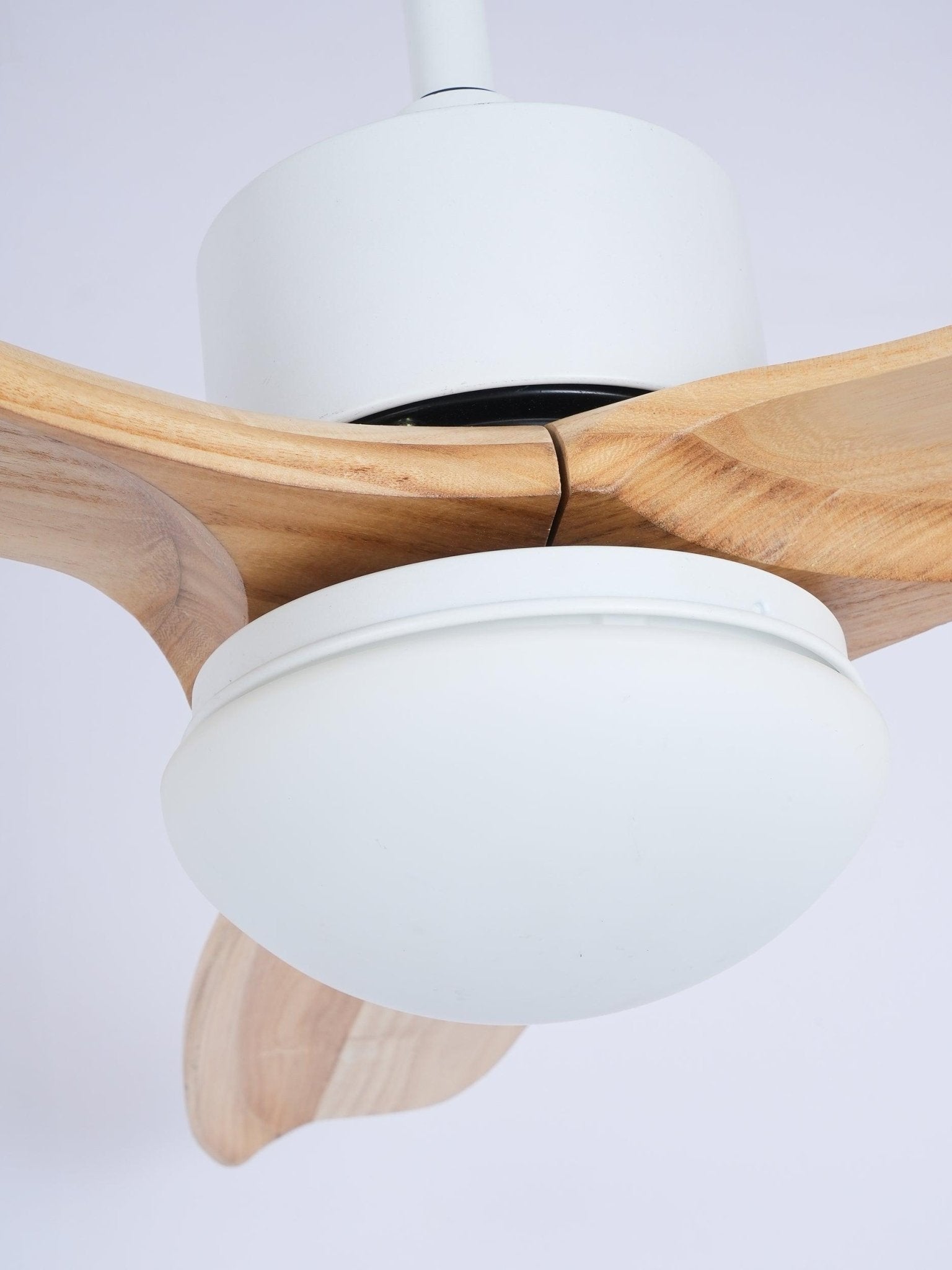 Norirora Elegance Natural Ceiling Fan Light
