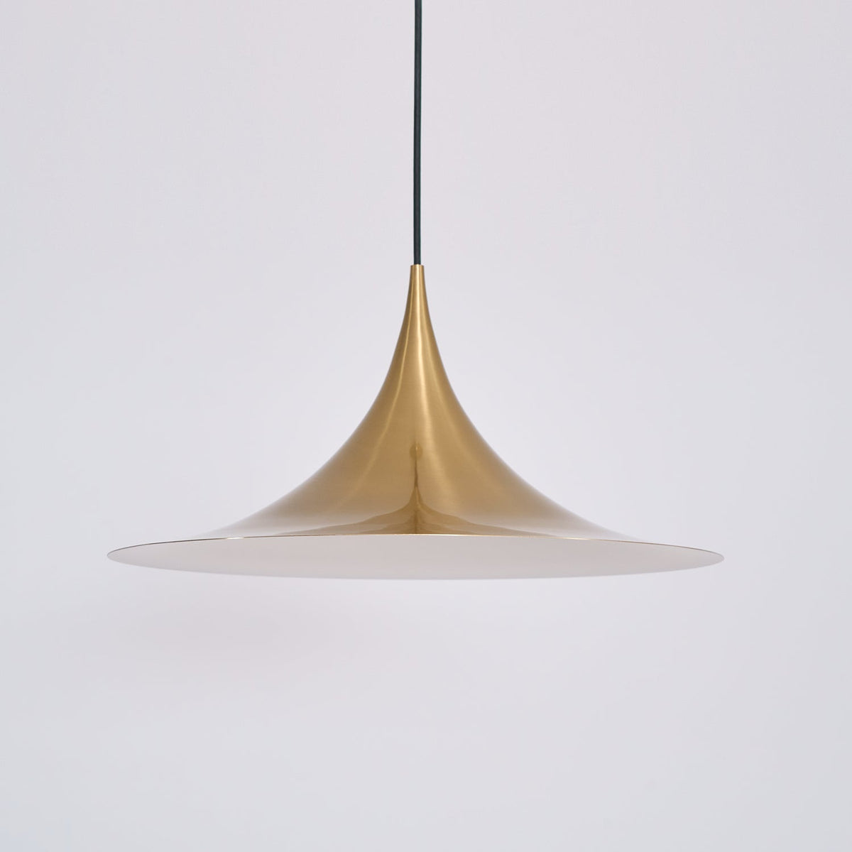 Lioreina Swag Pendant Light