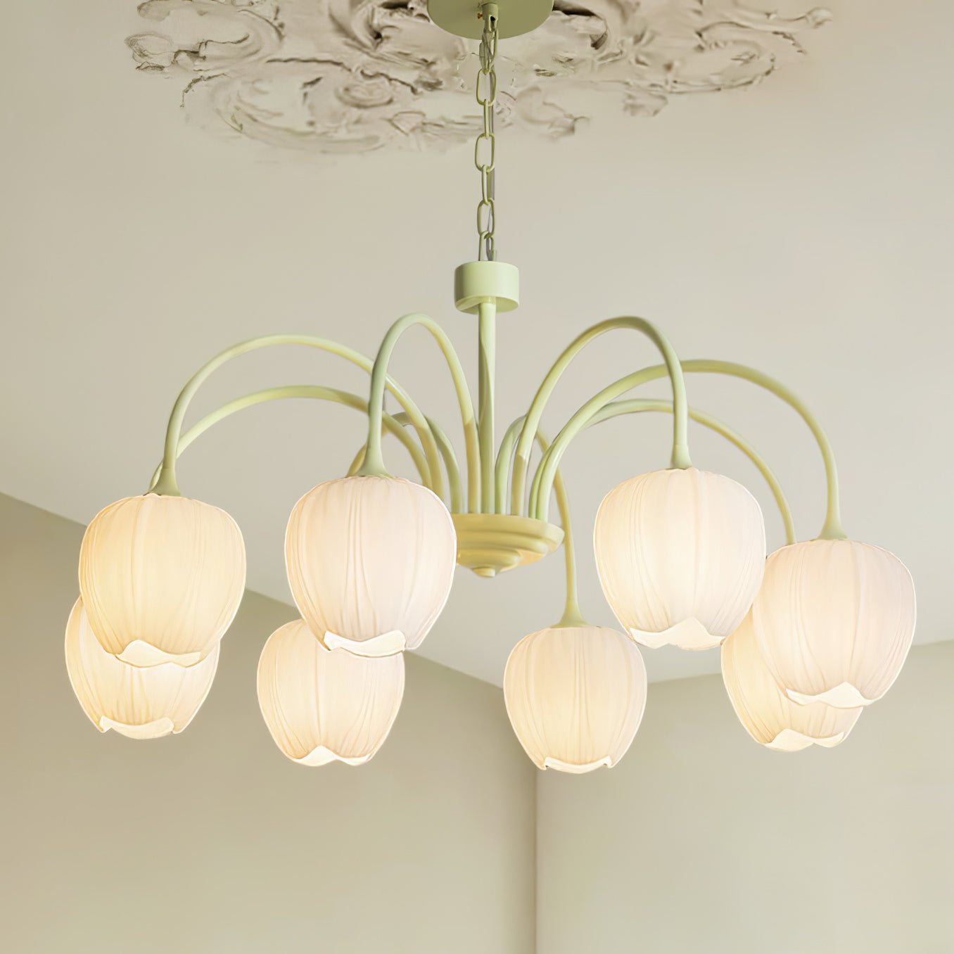 Fairmere Tulip Matcha Chandelier