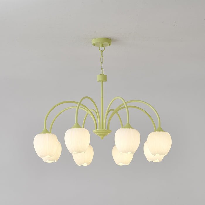 Fairmere Tulip Matcha Chandelier
