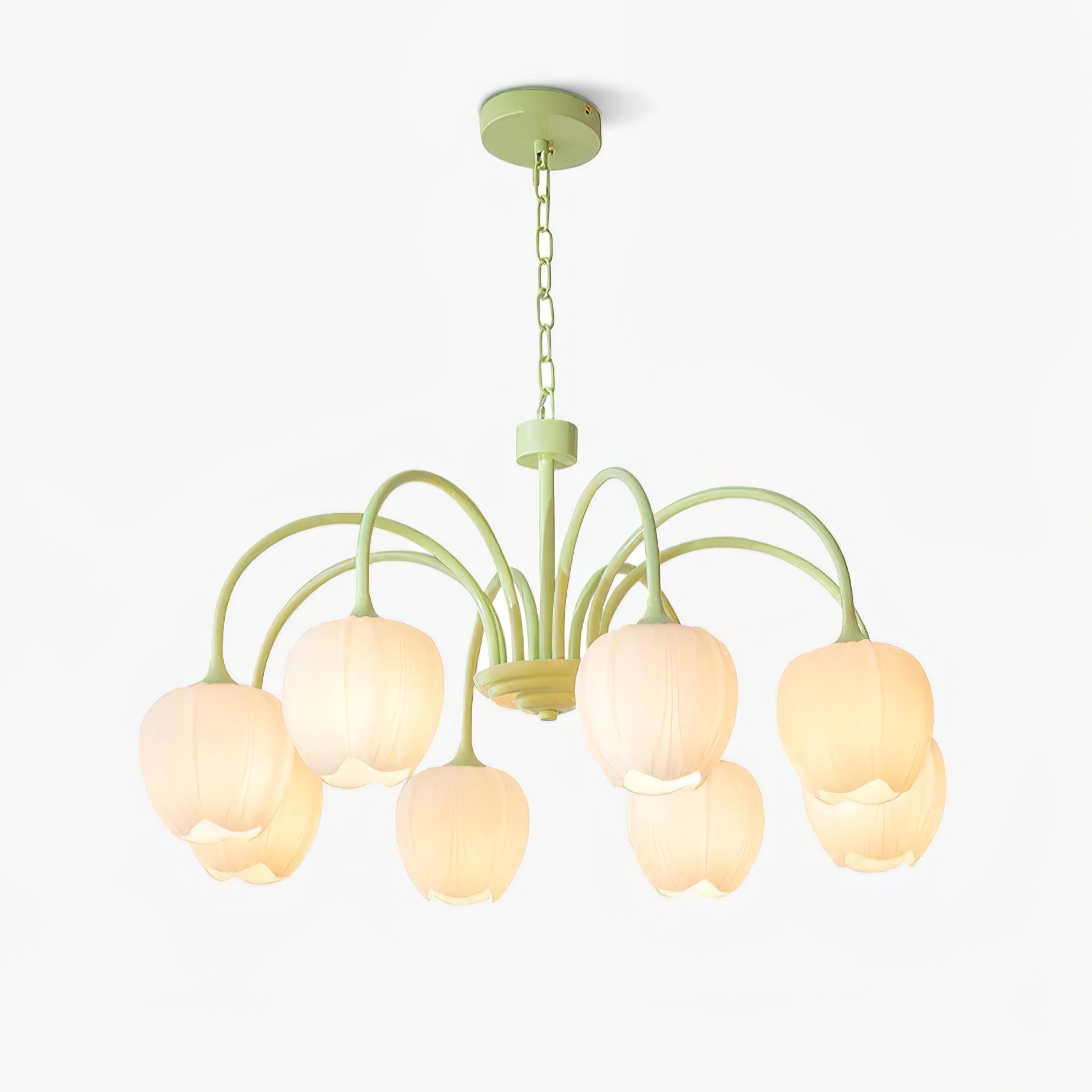 Fairmere Tulip Matcha Chandelier