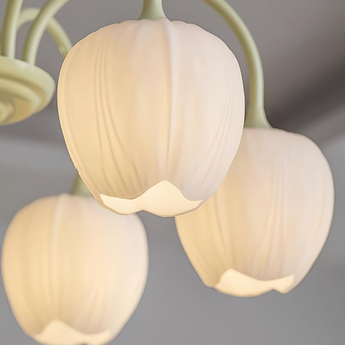 Fairmere Tulip Matcha Chandelier