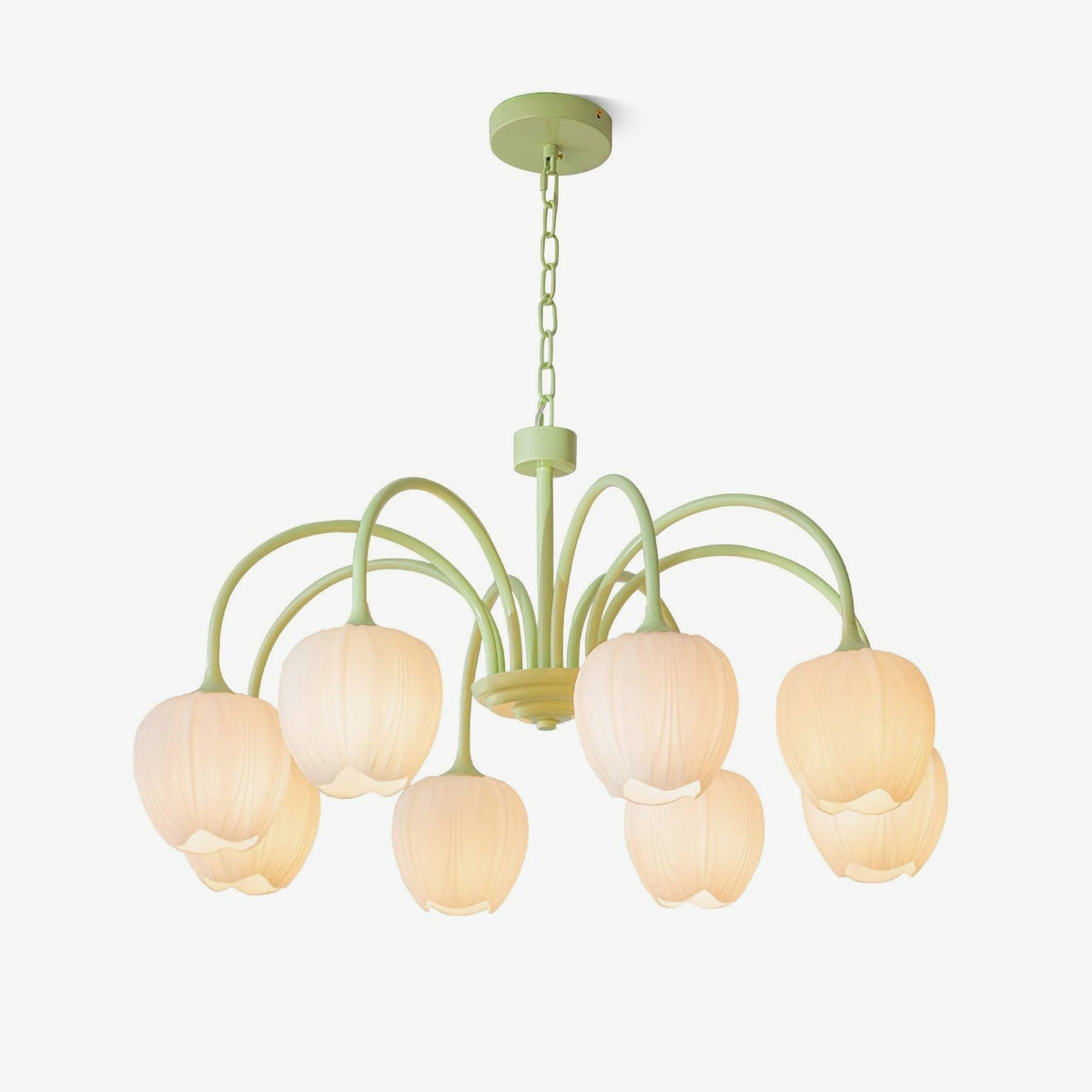 Fairmere Tulip Matcha Chandelier