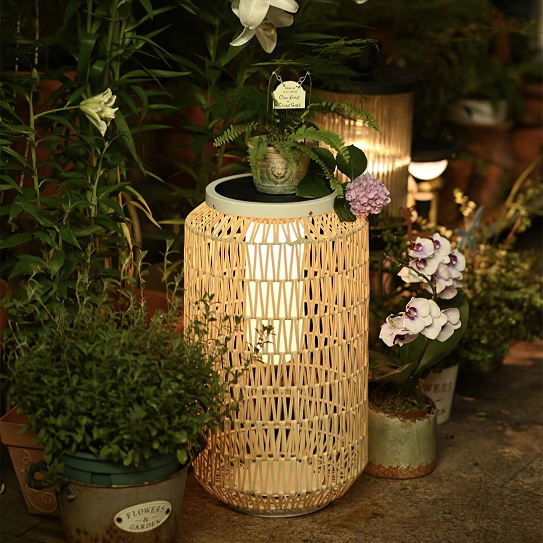 Velaleria Outdoor Light