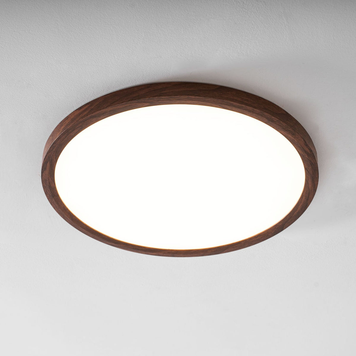 Roseborne Ultrathin Round Flush Mount Ceiling Light
