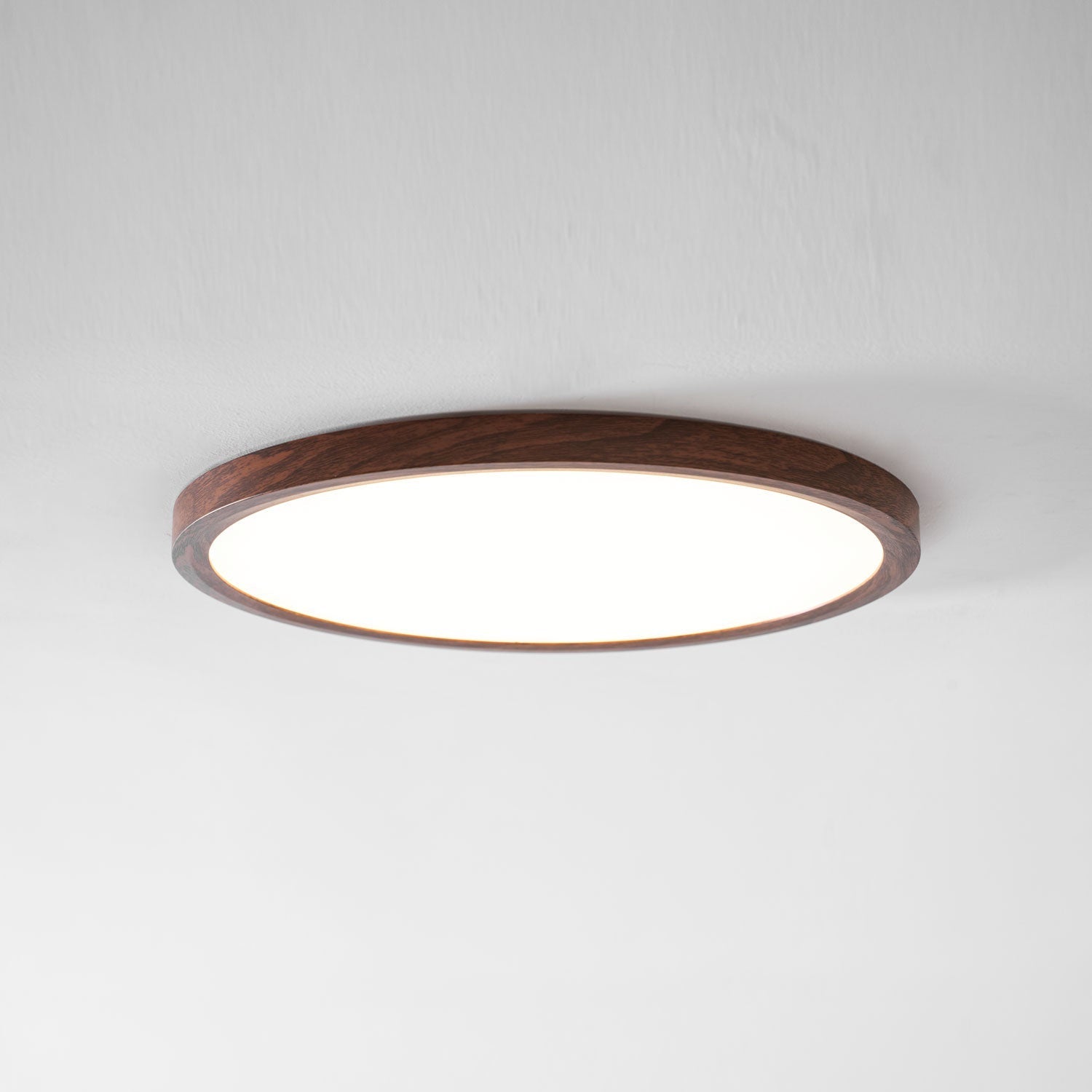 Roseborne Ultrathin Round Flush Mount Ceiling Light