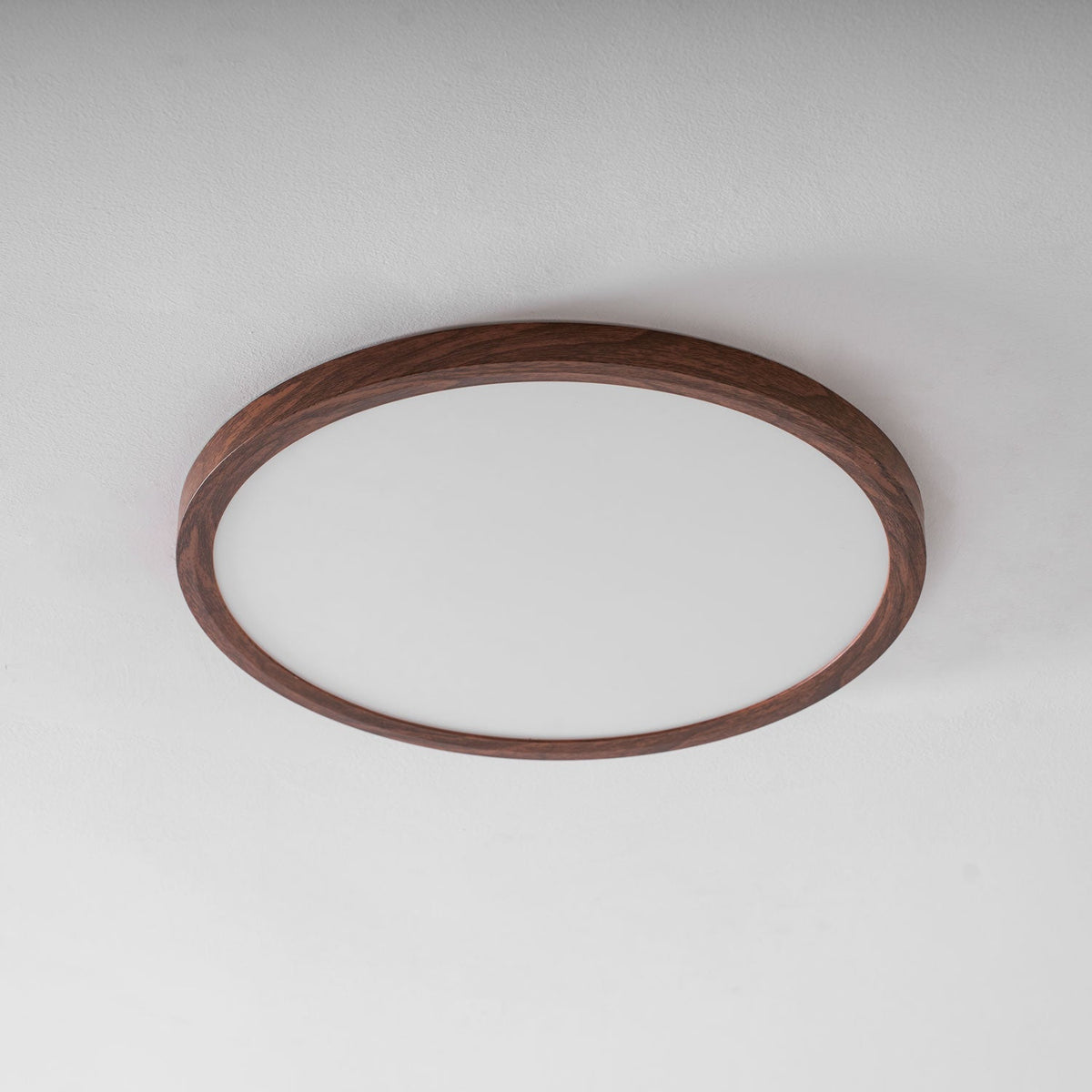 Roseborne Ultrathin Round Flush Mount Ceiling Light