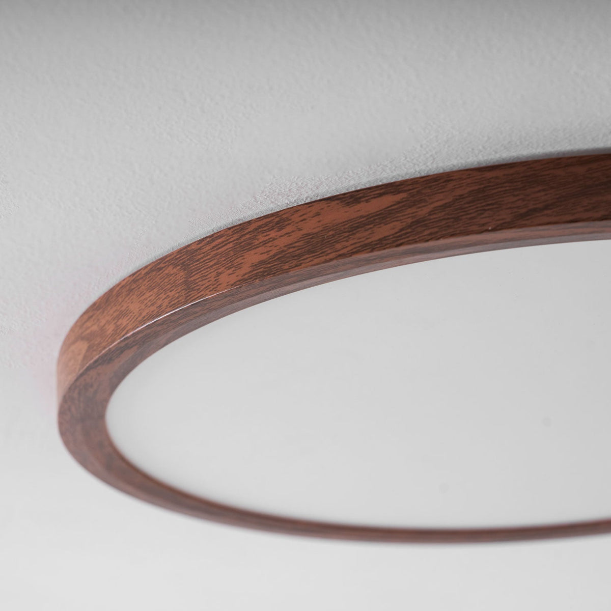 Roseborne Ultrathin Round Flush Mount Ceiling Light