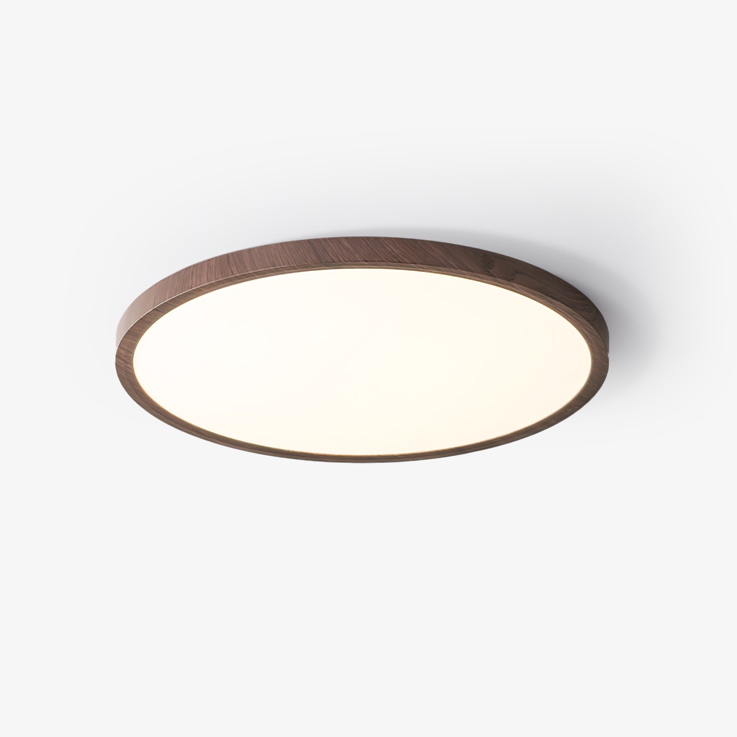 Roseborne Ultrathin Round Flush Mount Ceiling Light