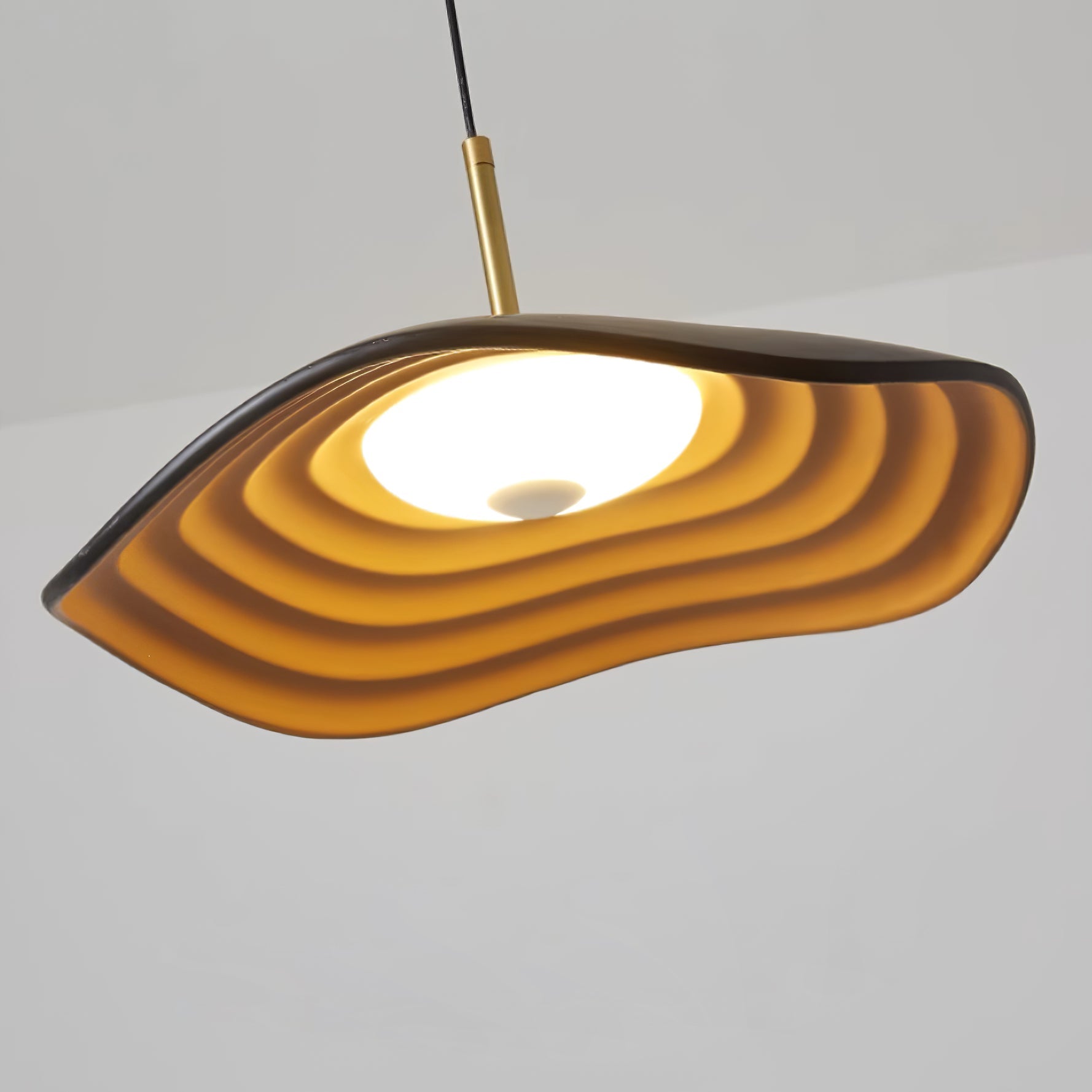 Zynthra Resin Artistic Pendant Lamp