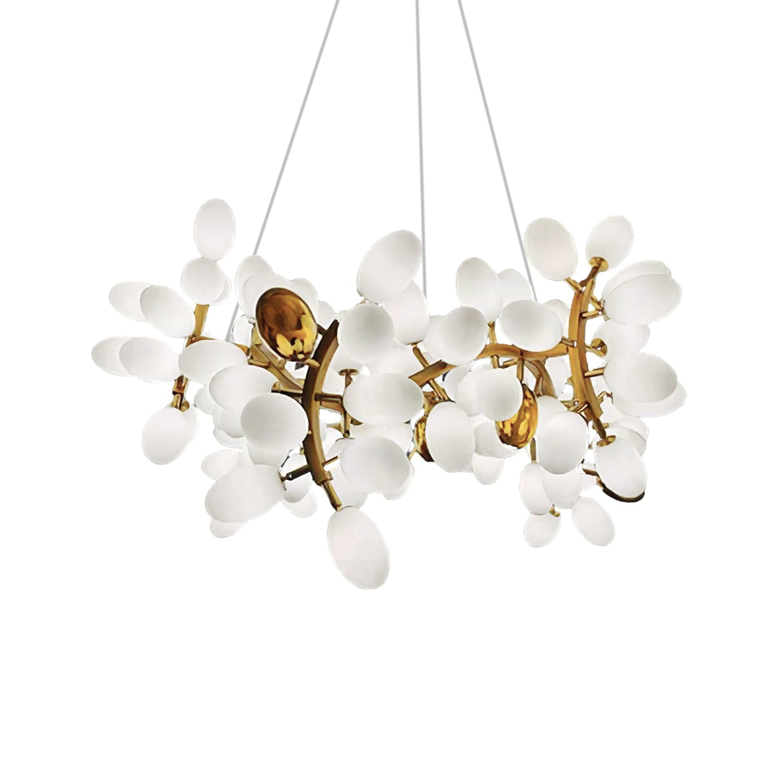 Lioraaria Glass Chandelier