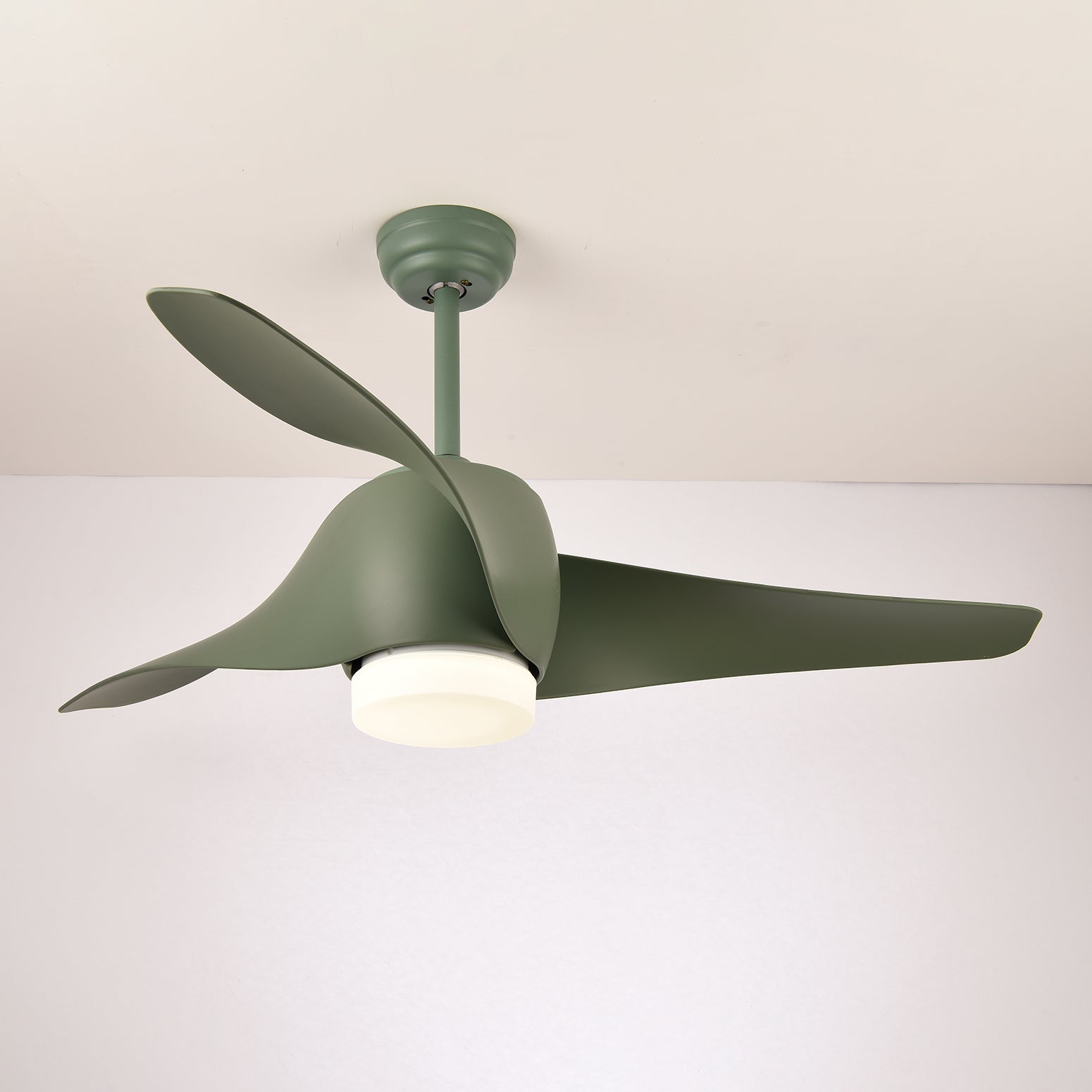 Cirivella Ceiling Fan Light