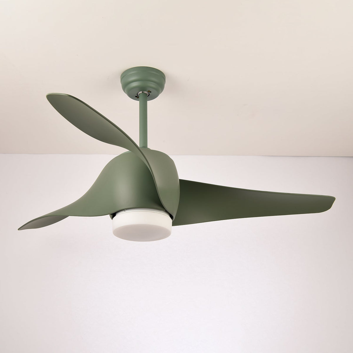 Cirivella Ceiling Fan Light