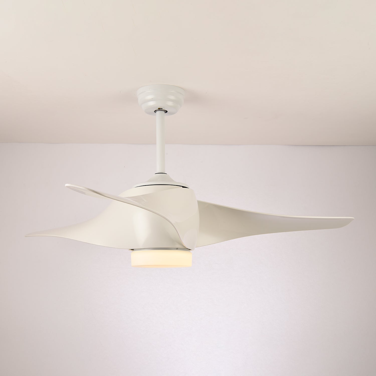 Cirivella Ceiling Fan Light