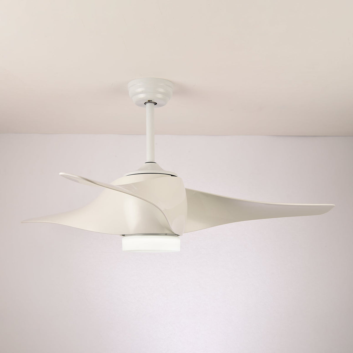 Cirivella Ceiling Fan Light
