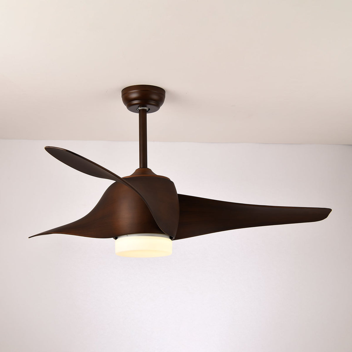Cirivella Ceiling Fan Light