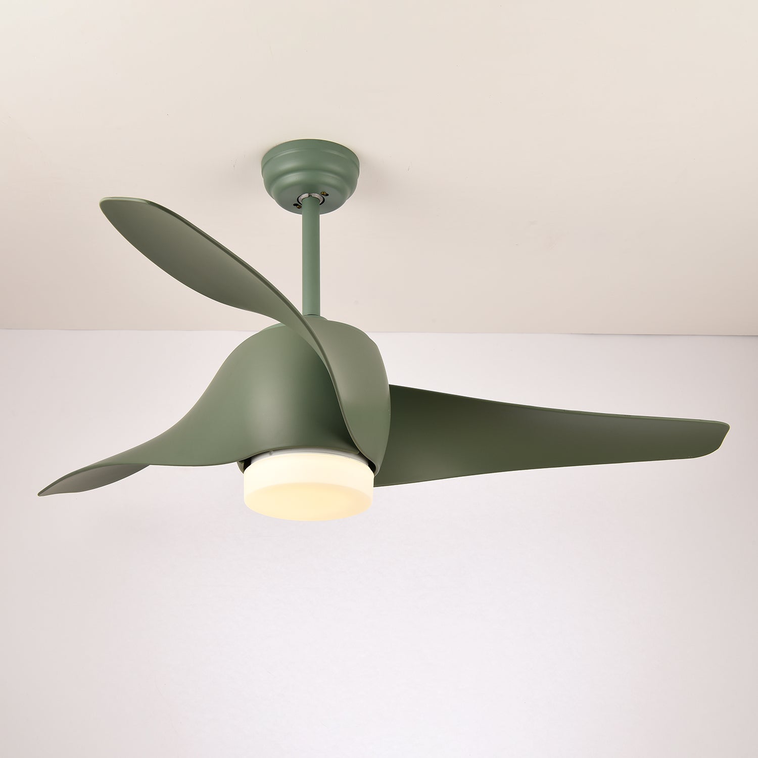 Cirivella Ceiling Fan Light