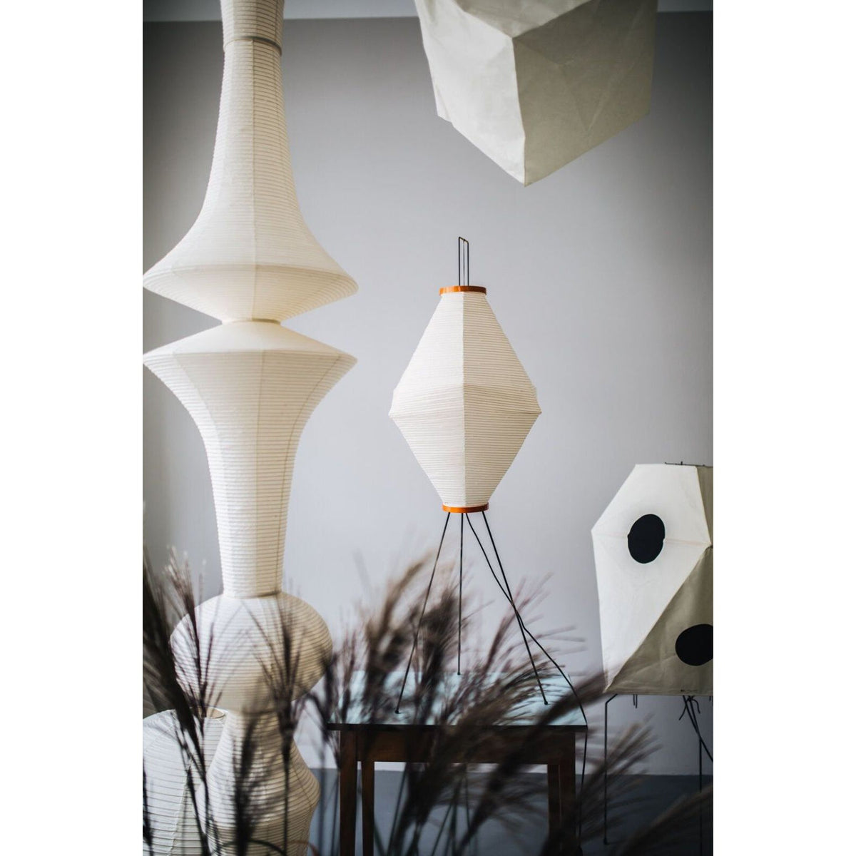 Oreliviella Pendant Light
