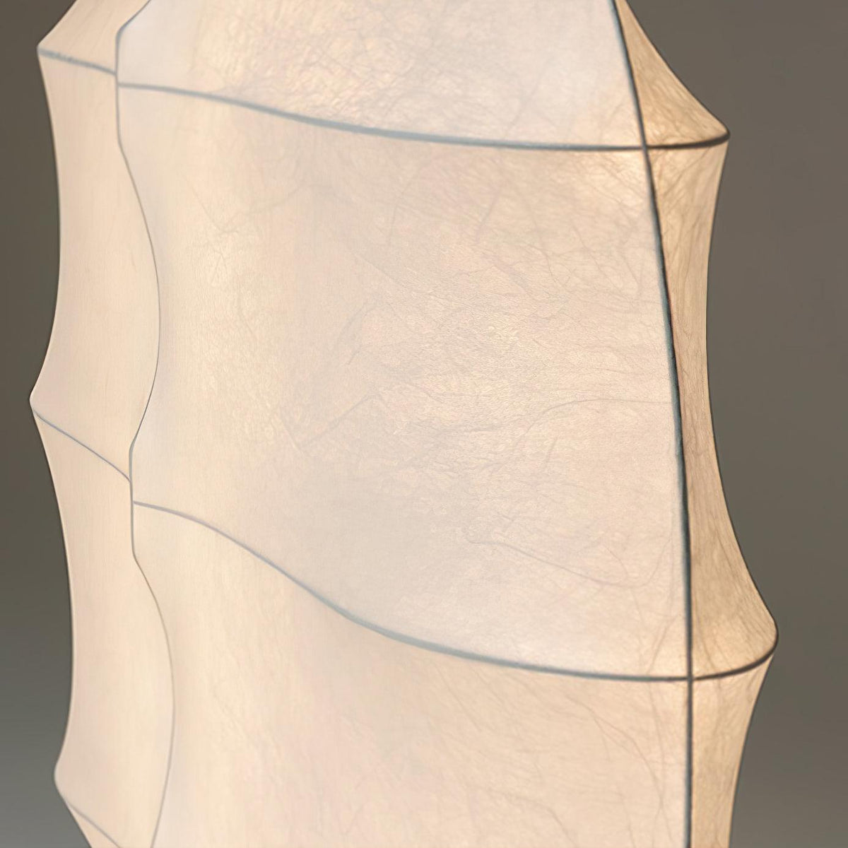 Lylaeos Organic Form Imitation Silk Wall Light