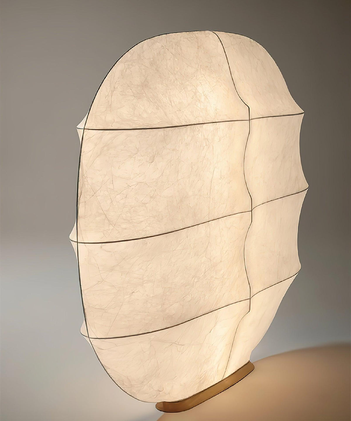 Lylaeos Organic Form Imitation Silk Wall Light