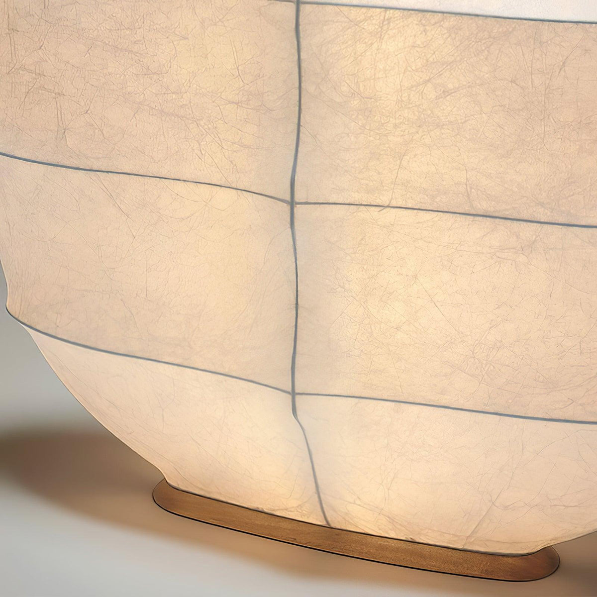 Lylaeos Organic Form Imitation Silk Wall Light
