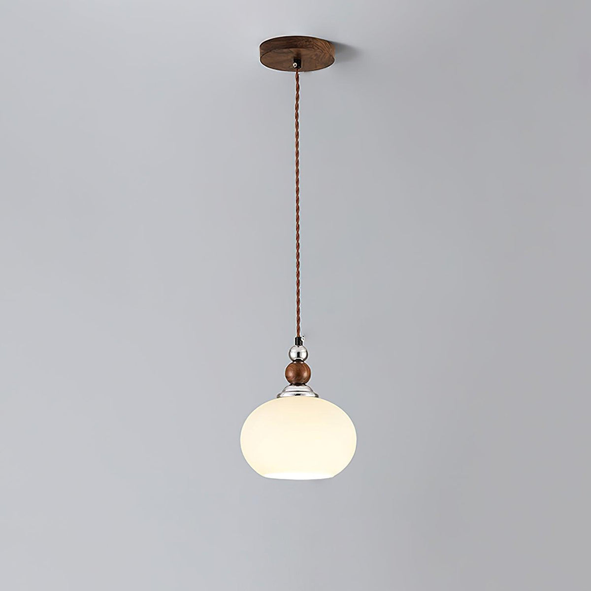 Eiruelia Modern Glass Pendant Lamp