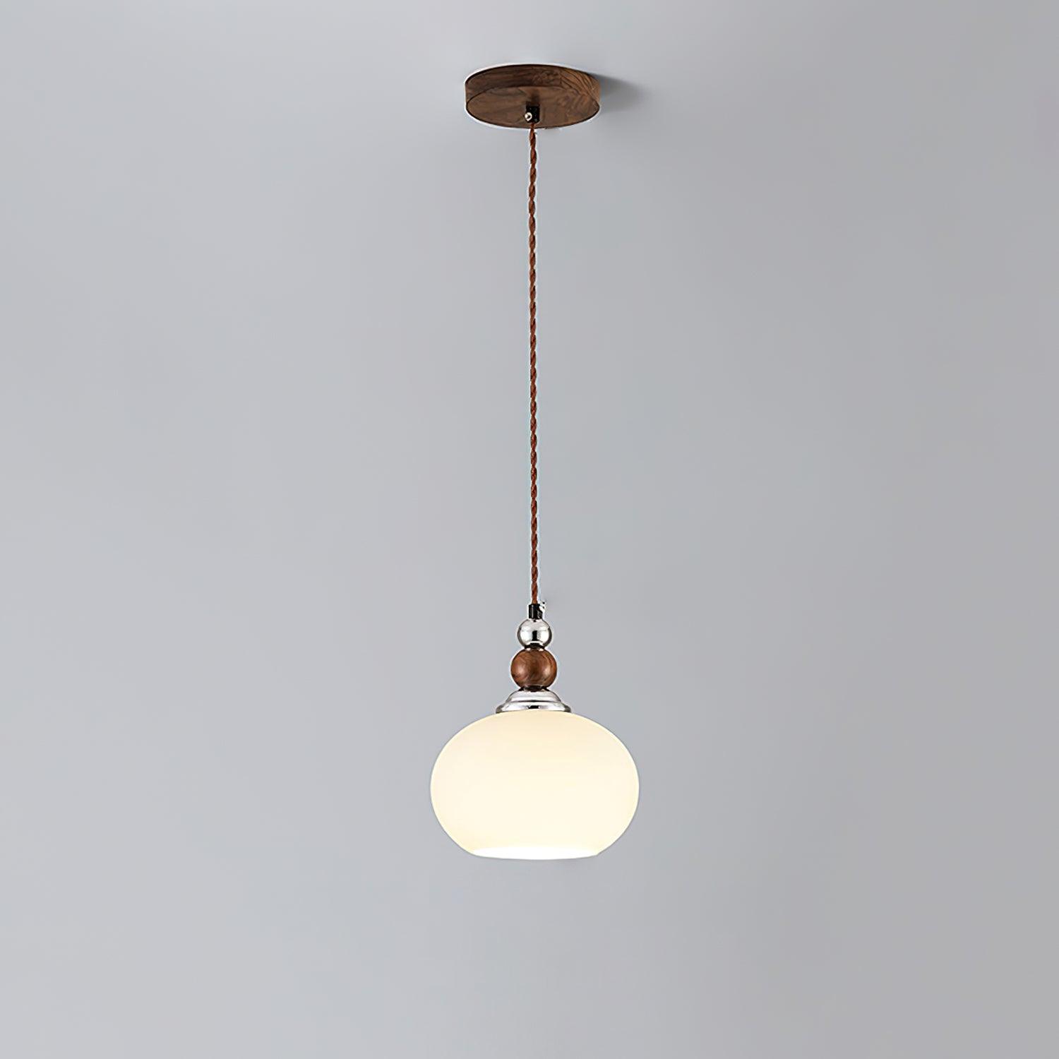 Eiruelia Modern Glass Pendant Lamp